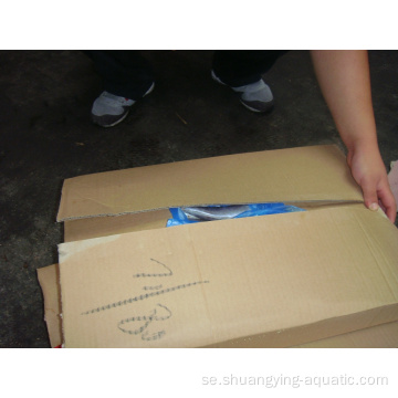 Kinesisk fryst fiskhäst makrill 16-20 cm 20-25cm